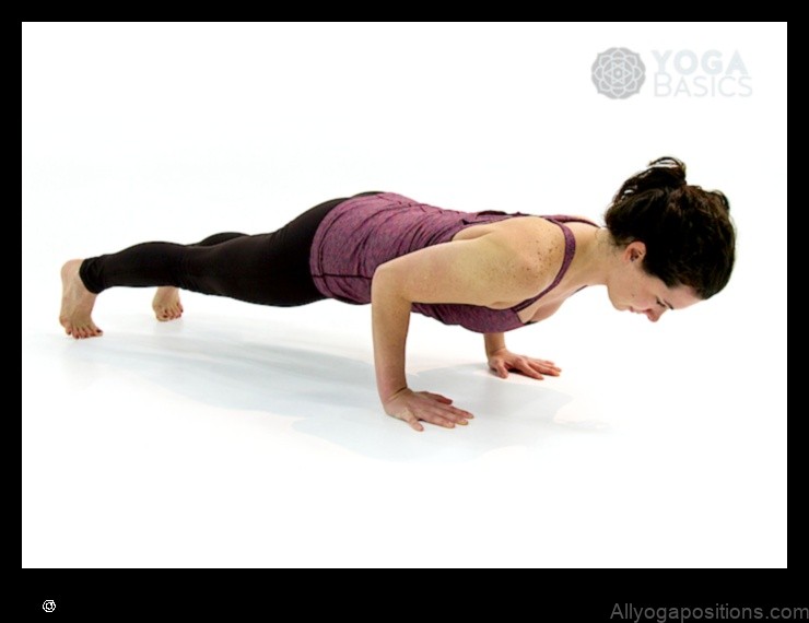 Four-Limbed Staff Pose yoga pose