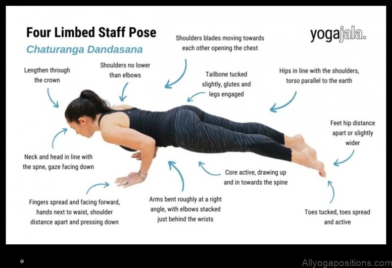 Four-Limbed Staff Pose yoga pose