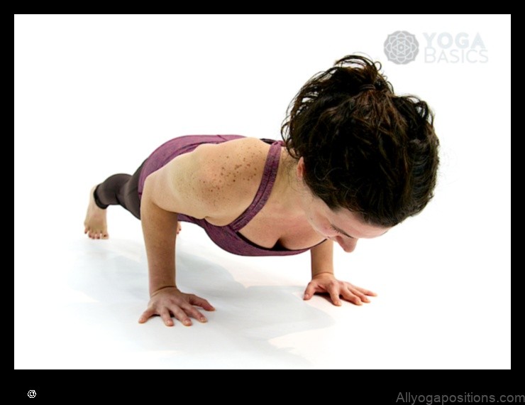 Four-Limbed Staff Pose yoga pose