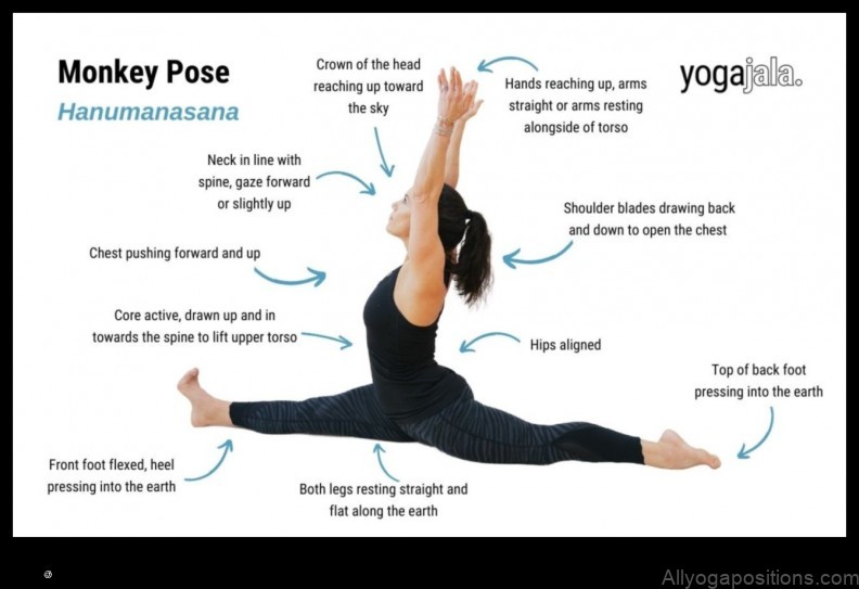 Monkey Pose yoga pose