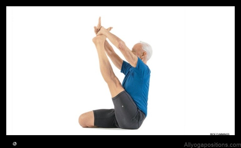 Heron Pose yoga pose