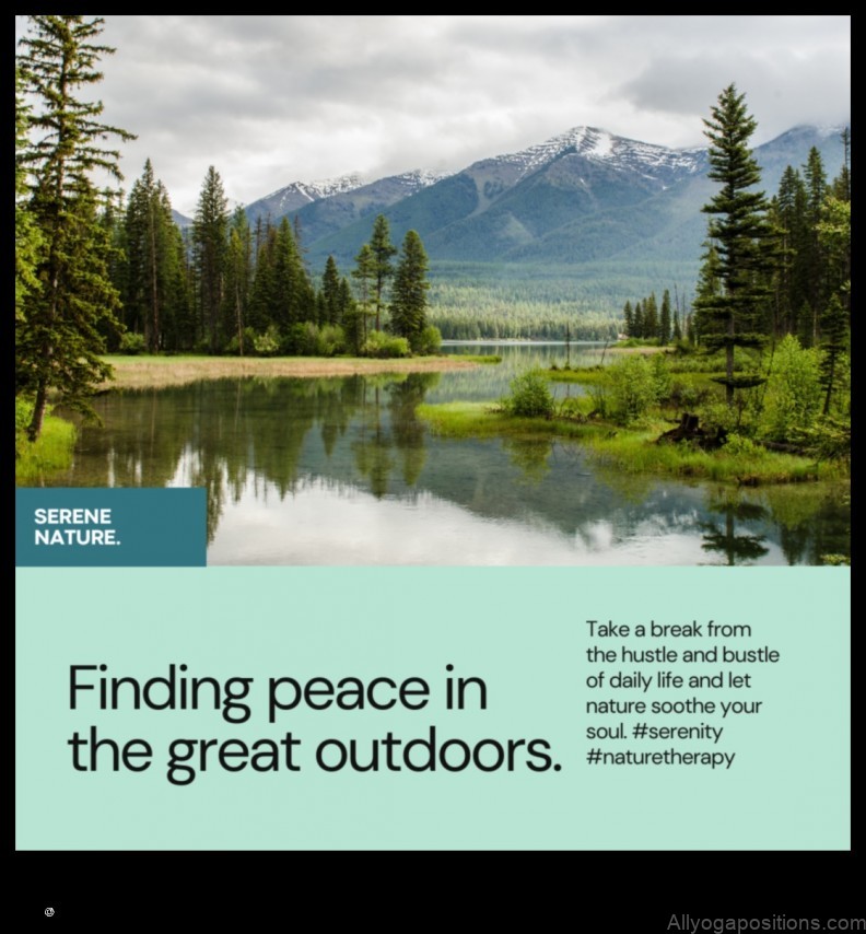 Meditation and Nature: Finding Harmony in the Great Outdoors
