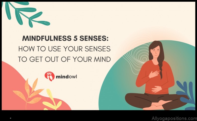 Meditation and the Five Senses: Exploring Sensory Awareness