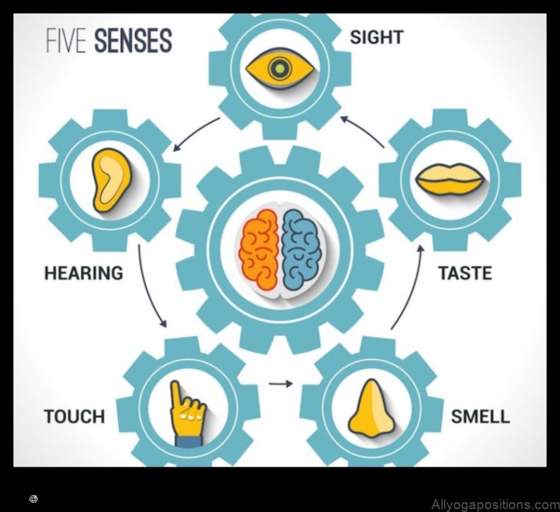 Meditation and the Five Senses: Exploring Sensory Awareness